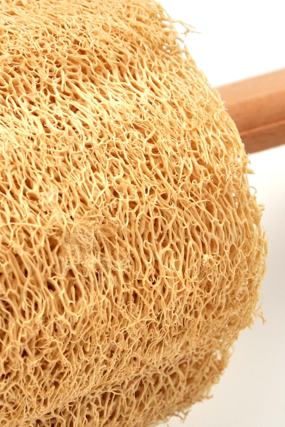 Ahşap Saplı Doğal Kabak Lifi Sırt Fırçası 8x40 cm.