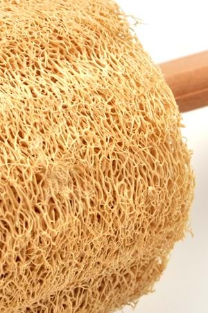 Ahşap Saplı Doğal Kabak Lifi Sırt Fırçası 8x40 cm.
